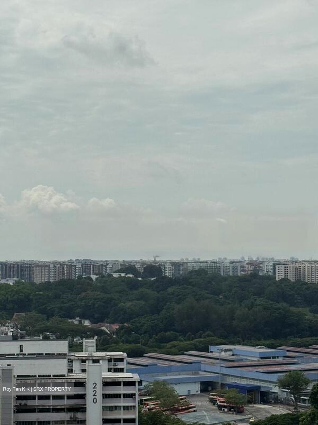 Blk 216 Lorong 8 Toa Payoh (Toa Payoh), HDB 5 Rooms #461073341